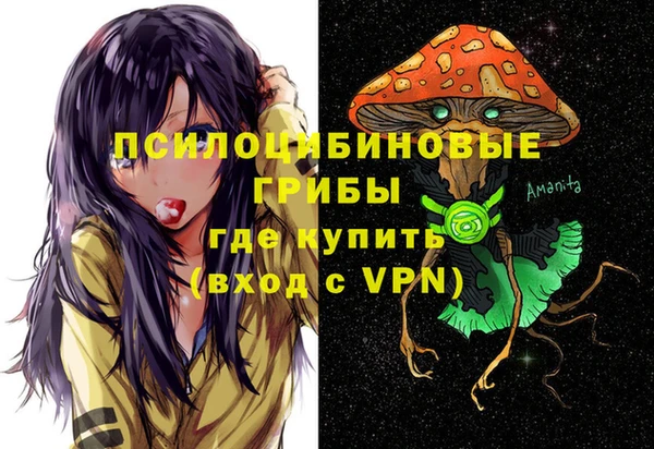 мет Новодвинск
