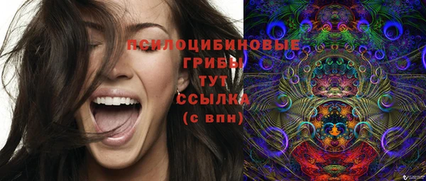 мет Новодвинск