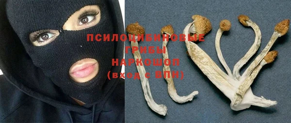 мет Новодвинск